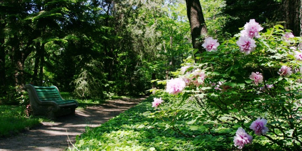 Одесский Ботанический сад 