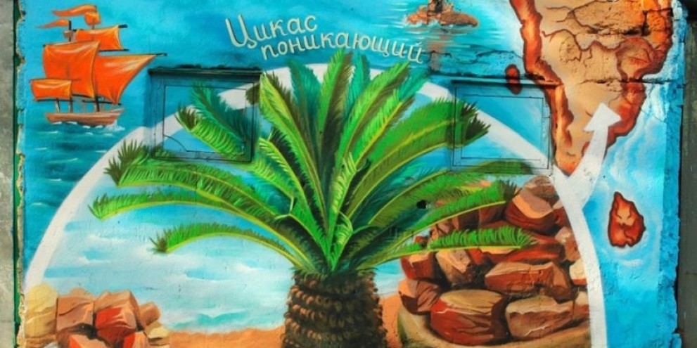 Одесский Ботанический сад 